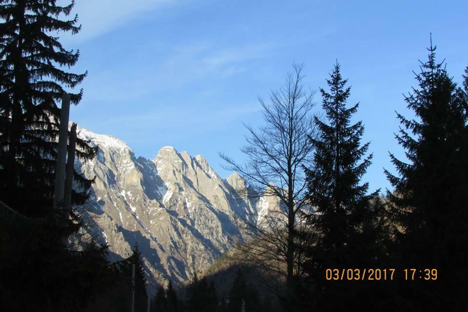 فندق Valbona Eco Camping المظهر الخارجي الصورة